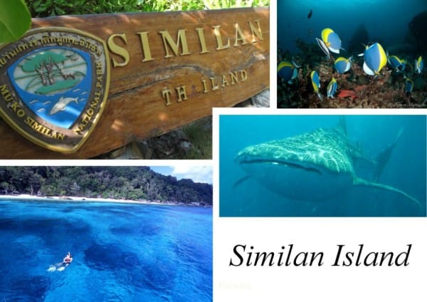 similan-1024x724