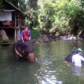 象と水浴び体験＆ラフティング